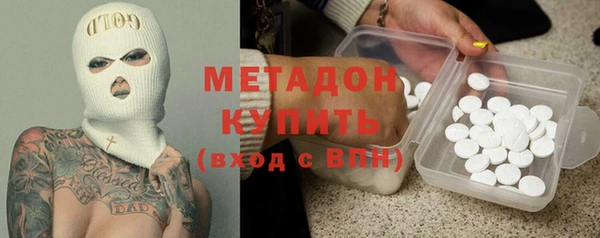 шишки Арсеньев