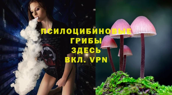 шишки Арсеньев