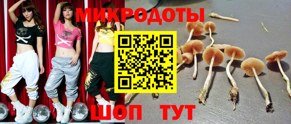 Галлюциногенные грибы мухоморы  Псилоцибиновые грибы Magic Shrooms  Вход с VPN  Балашиха 