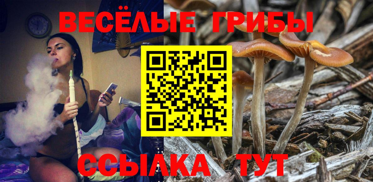 Галлюциногенные грибы мухоморы Балашиха